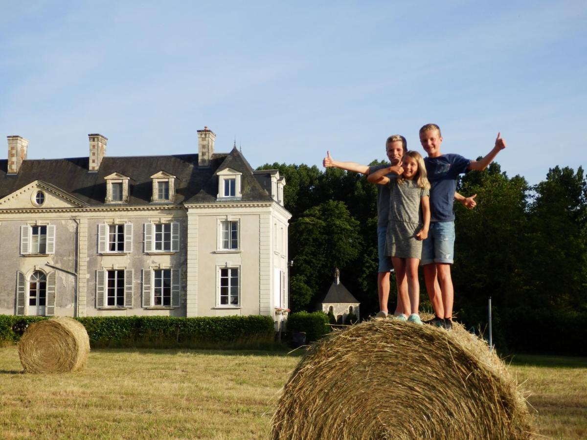 Chateau La Mothaye - Self Catering Apartments With Pool In The Loire Valley Les Bois-d'Anjou Eksteriør bilde