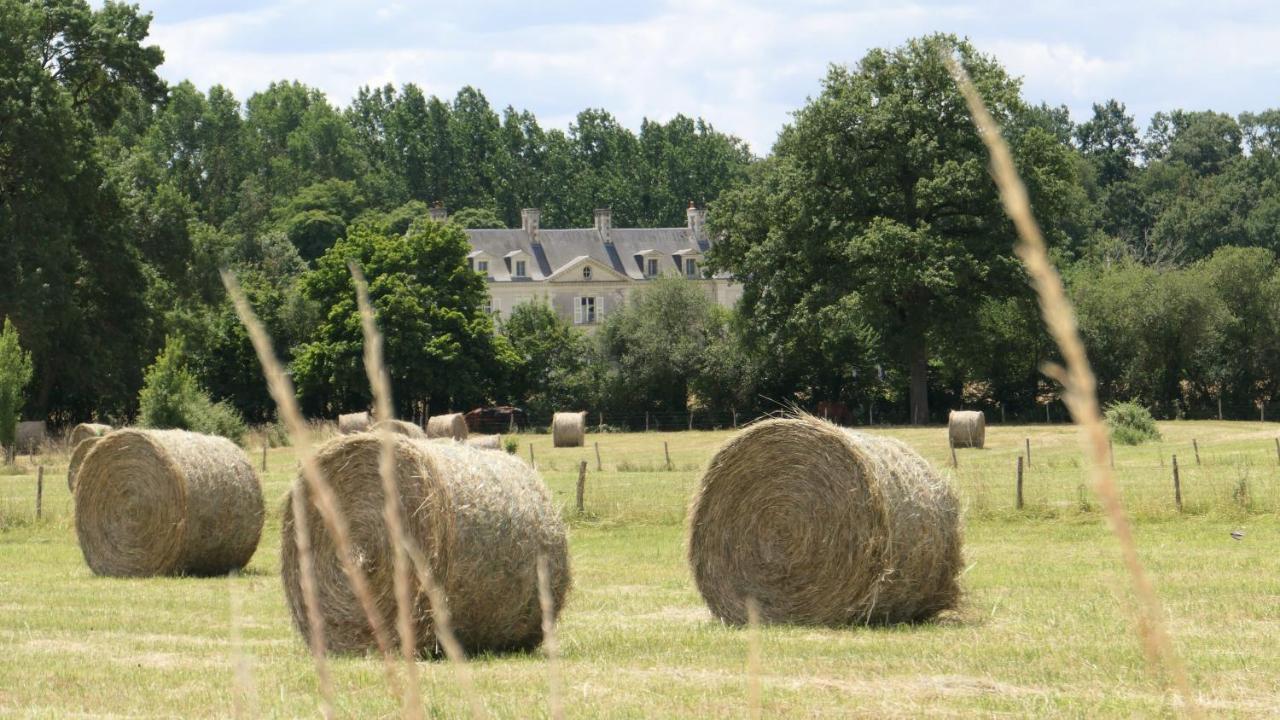 Chateau La Mothaye - Self Catering Apartments With Pool In The Loire Valley Les Bois-d'Anjou Eksteriør bilde