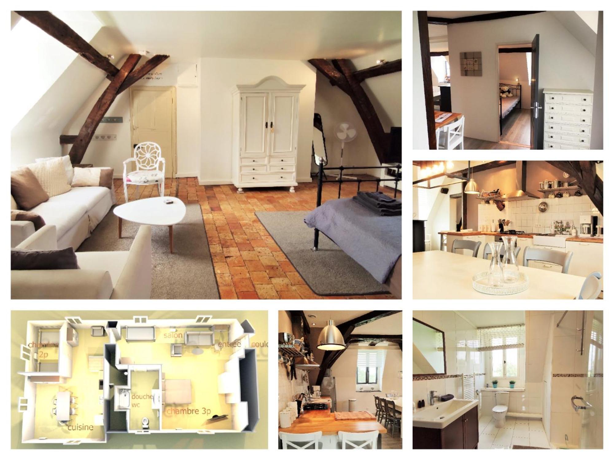Chateau La Mothaye - Self Catering Apartments With Pool In The Loire Valley Les Bois-d'Anjou Eksteriør bilde